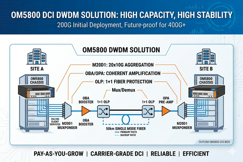 ultimo caso aziendale circa Short Distance 200G to 400G Scalable DWDM DCI Solution
