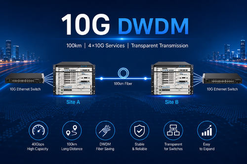 ultimo caso aziendale circa Connecting Two 10G Ethernet Switches Over 100Km Fiber Using the OM3800 DWDM System